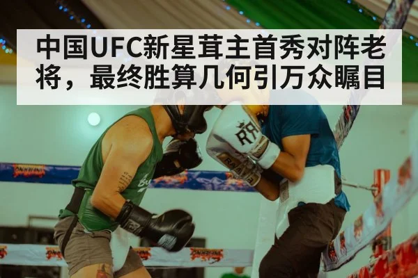 中国UFC新星茸主首秀对阵老将，最终胜算几何引万众瞩目